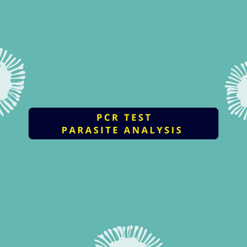 PCR Test - Parasite Analysis