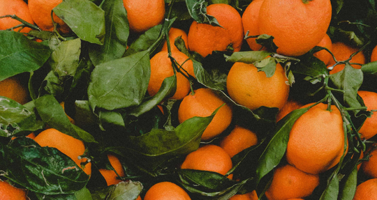 How to Make Orange Juice Kefir